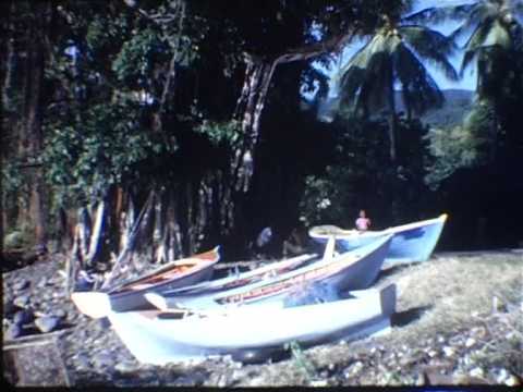 Roches gravées et paysages de Guadeloupe